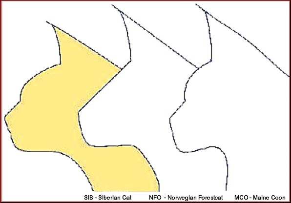 profile schemata of the three forestcat breeds 